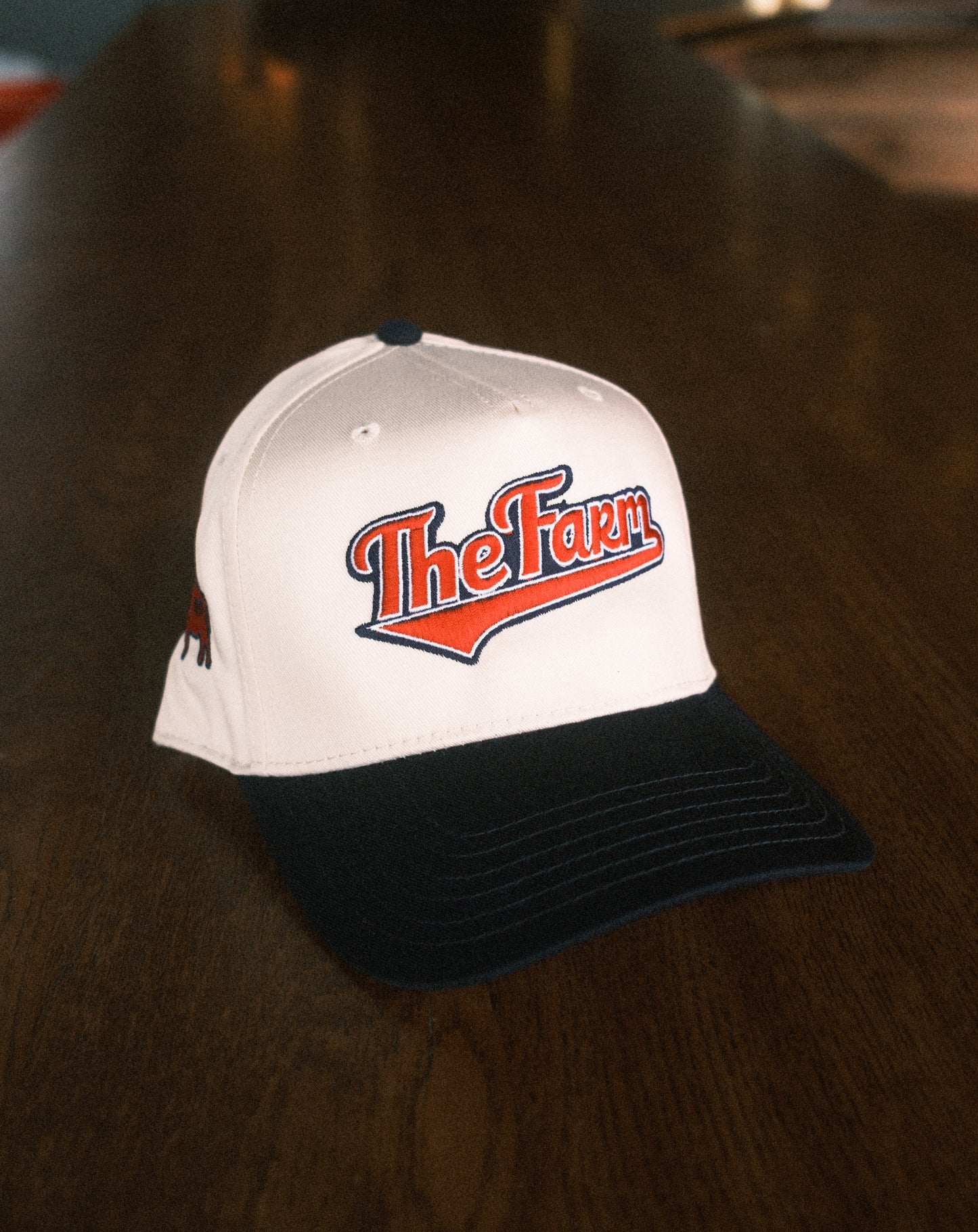 Cleveland Vintage Baseball Cap