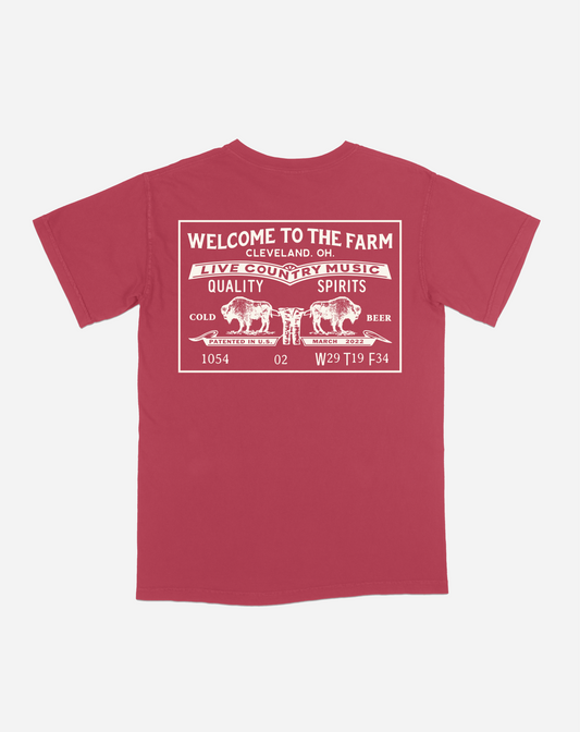 Levis Graphic Tee