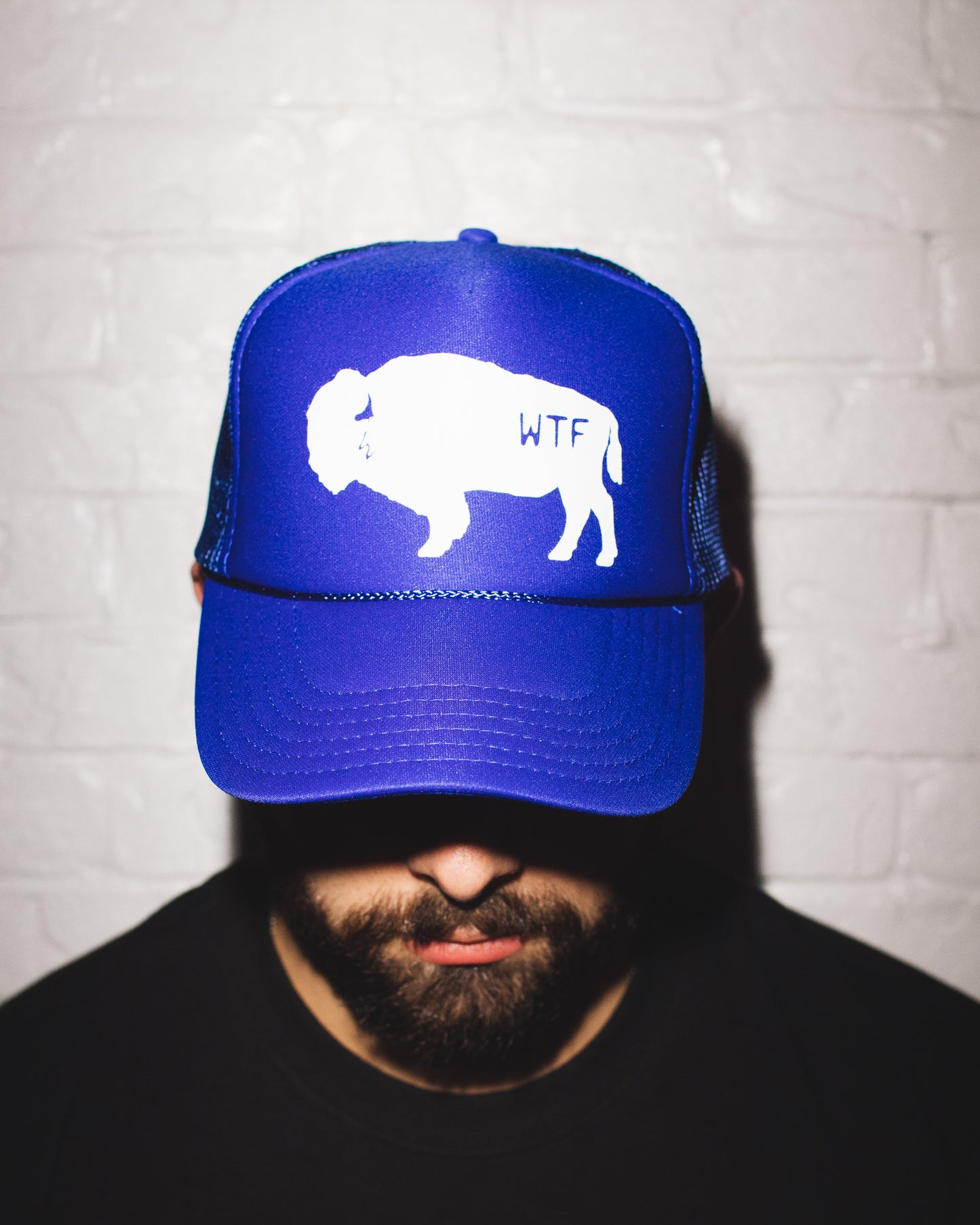 Bison Trucker Hat (Blue)